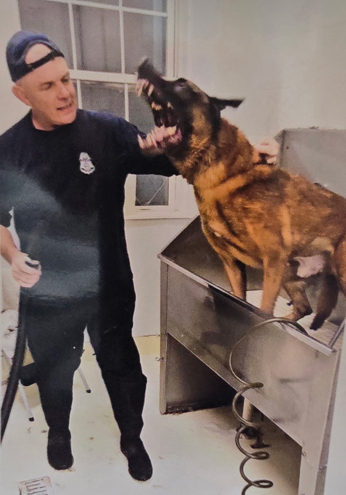Wash, rinse, serve.